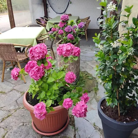 Taverna Roemerkrug 2* Hannover