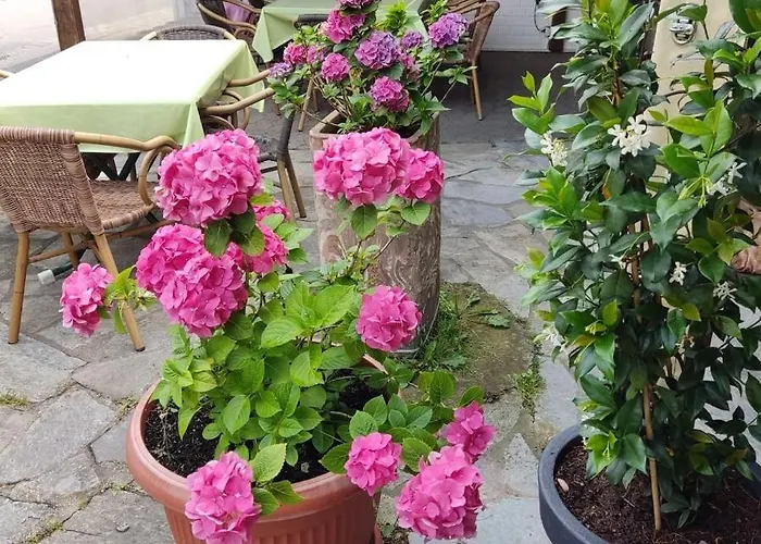 Taverna Roemerkrug 2* 汉诺威